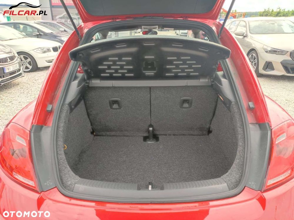 Volkswagen Beetle - 19