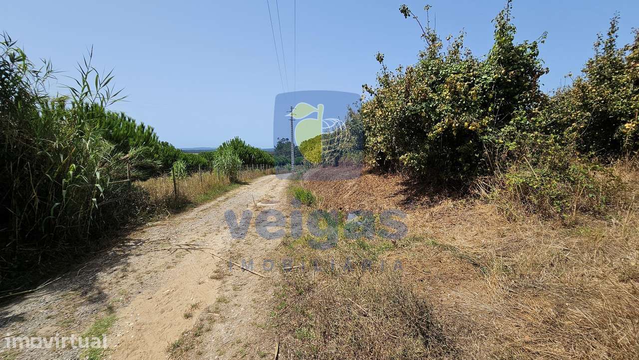Terreno em Gaeiras, Óbidos - Grande imagem: 5/27