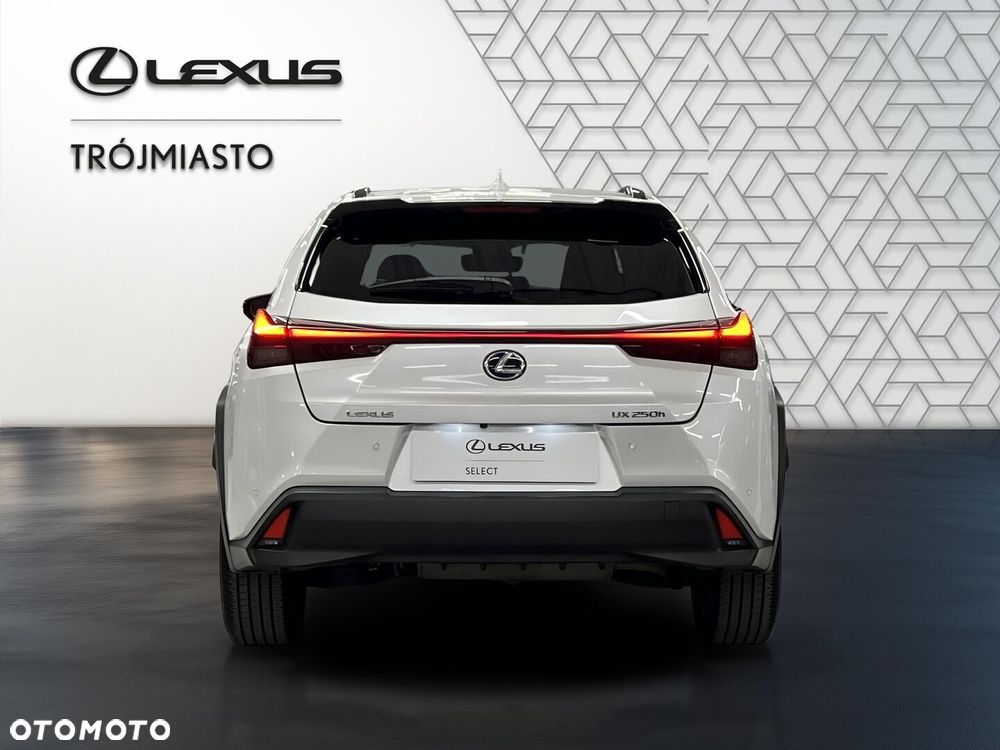 Lexus Ux 2022 photo 4