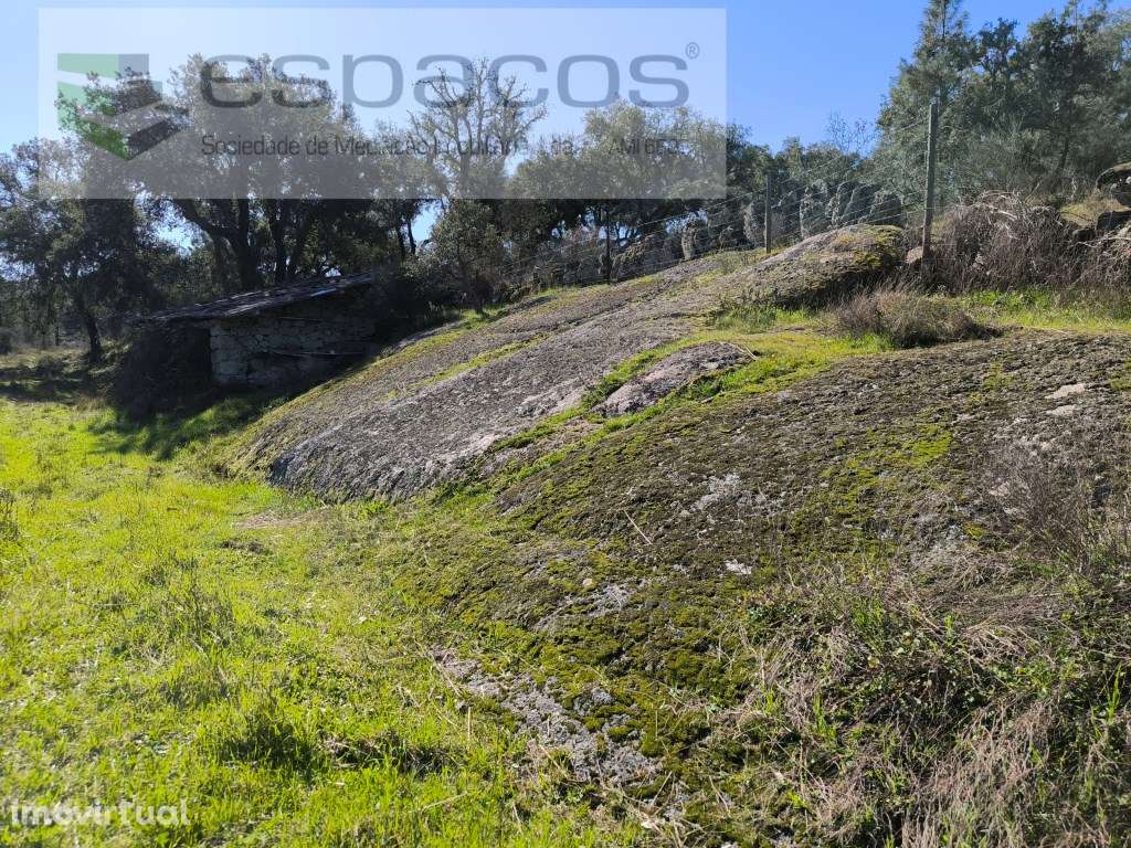 Terreno com casa em pedra e anexos - Palvarinho - Grande imagem: 3/20