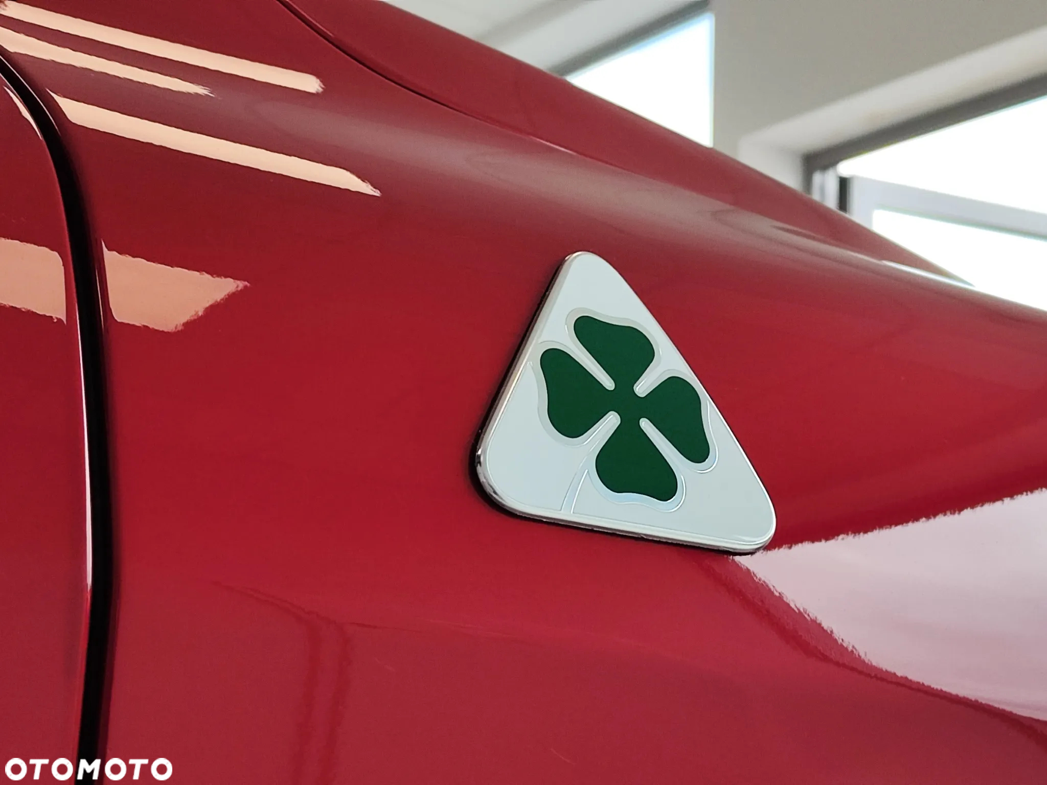 Alfa Romeo Stelvio 2.9 Bi Turbo V6 Quadrifoglio Q4 - 4
