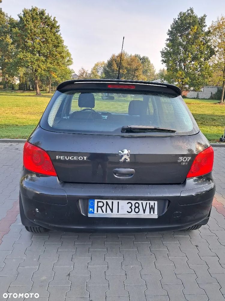 Peugeot 307 2006 photo 2