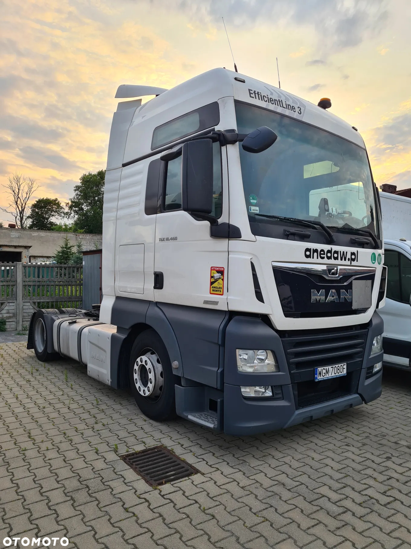MAN TGX - 5