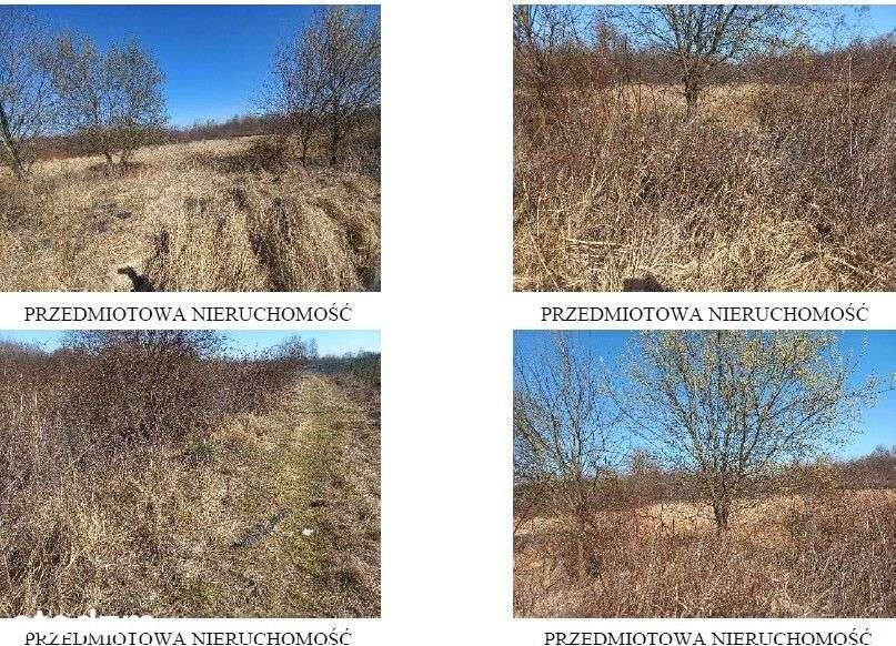 Syndyk sprzeda kompleks działek - Pełny obrazek: 4/7