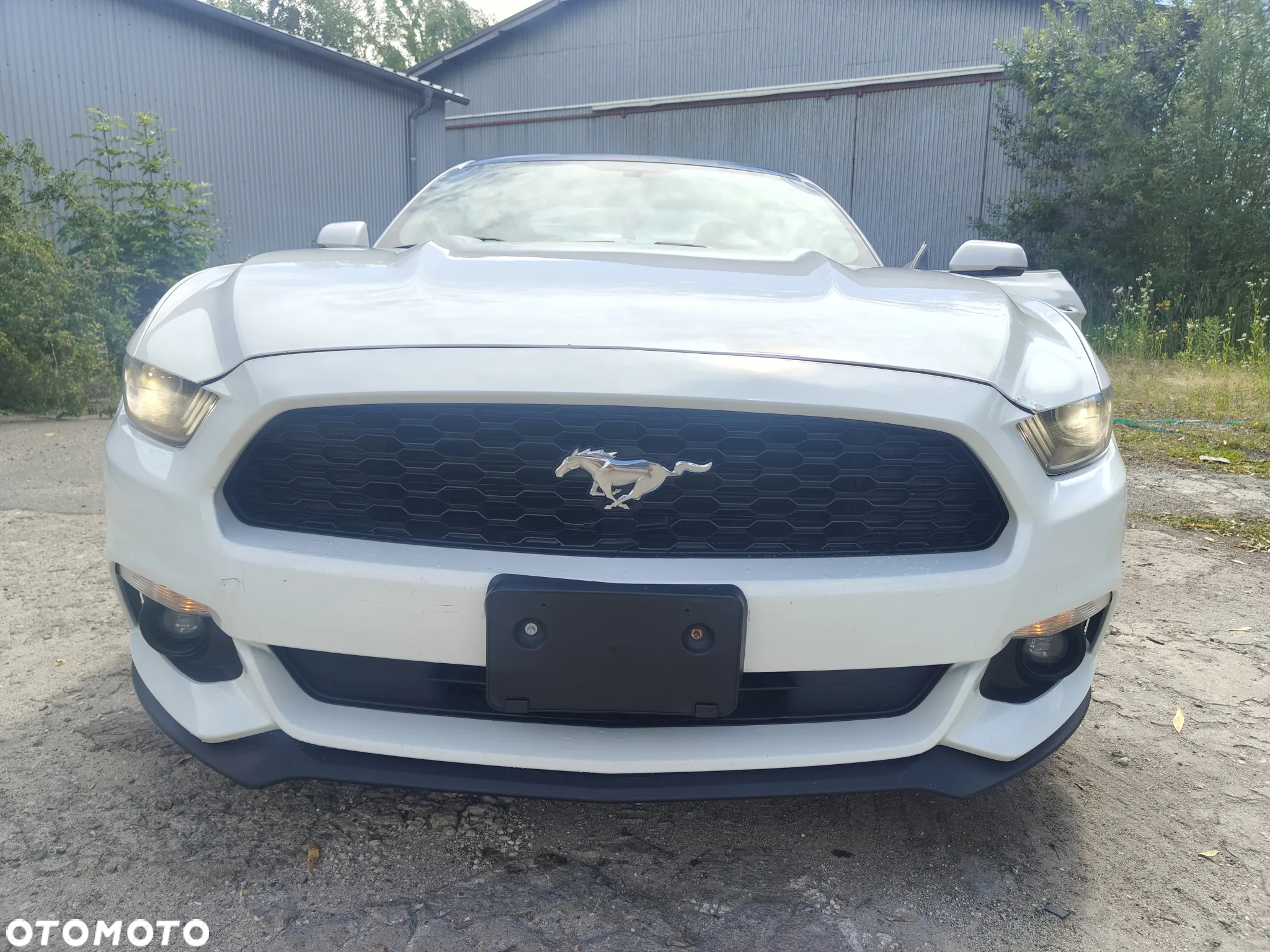 Ford Mustang 2.3 Eco Boost - 16