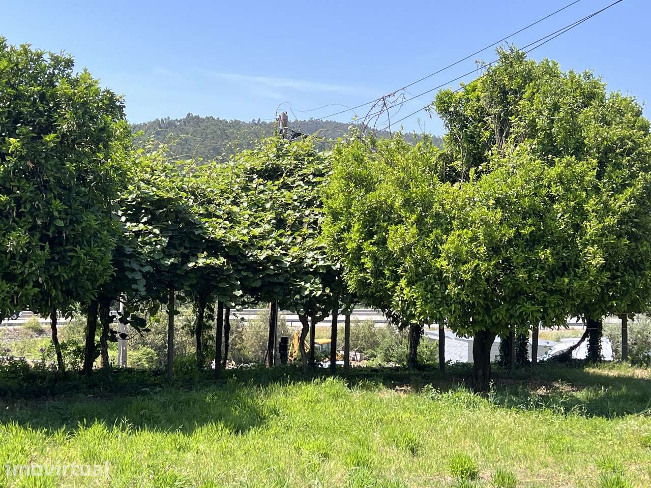 Moradia T4 renovada com terreno, Cerejeiras, Penela - Grande imagem: 5/51