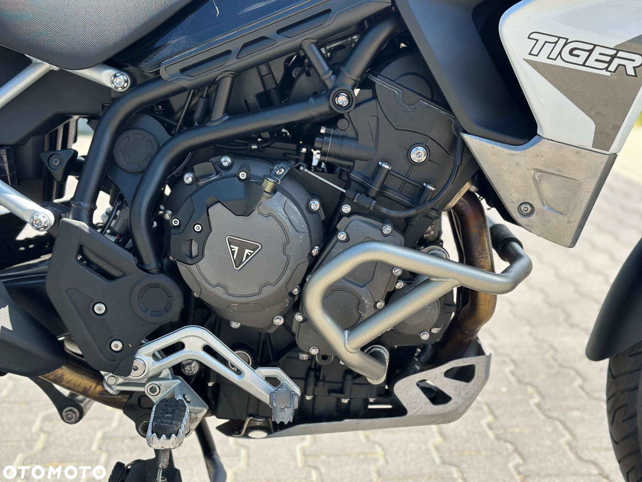Triumph Tiger - 20