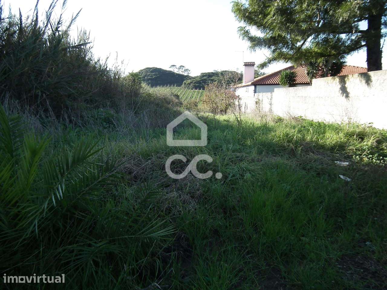 Terreno Rústico com 1240 m² - Grande imagem: 2/16