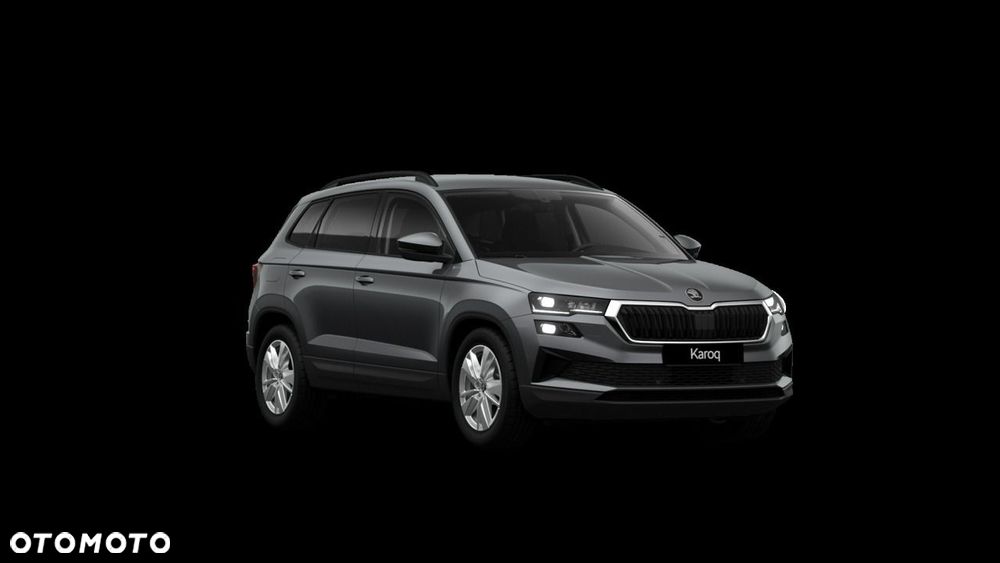 Skoda Karoq - 4