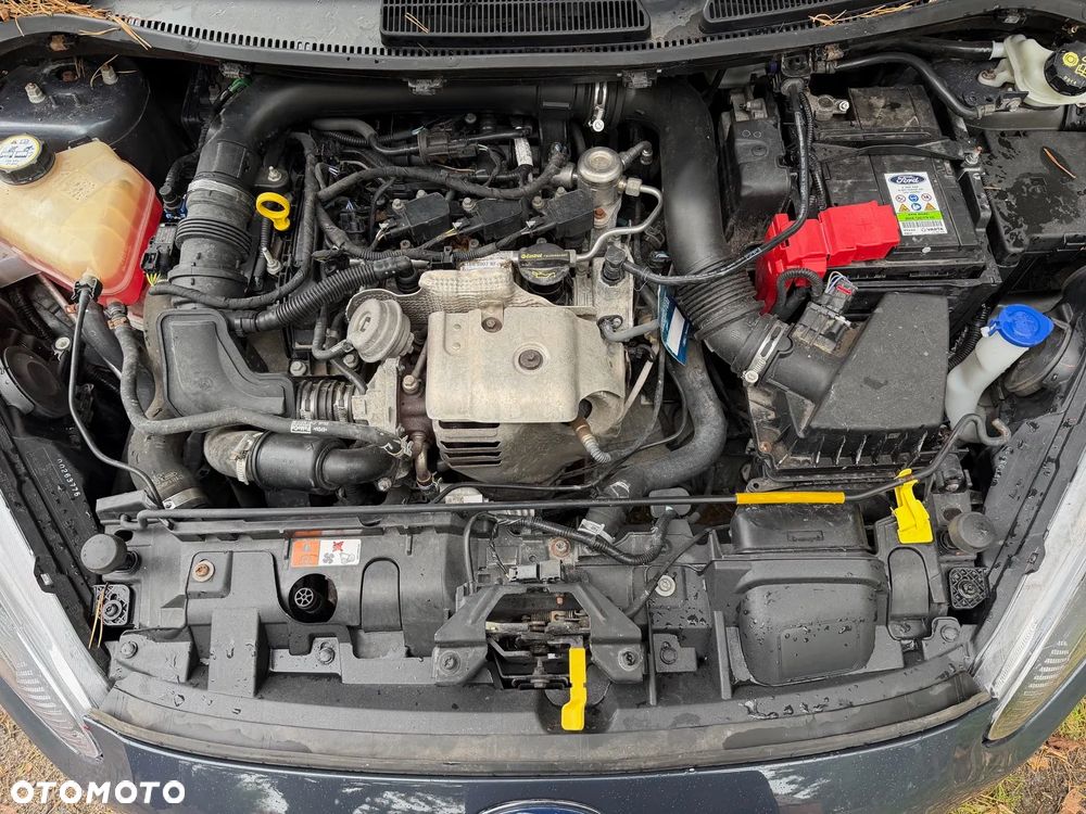 Ford Fiesta 1.0 EcoBoost Titanium - 8