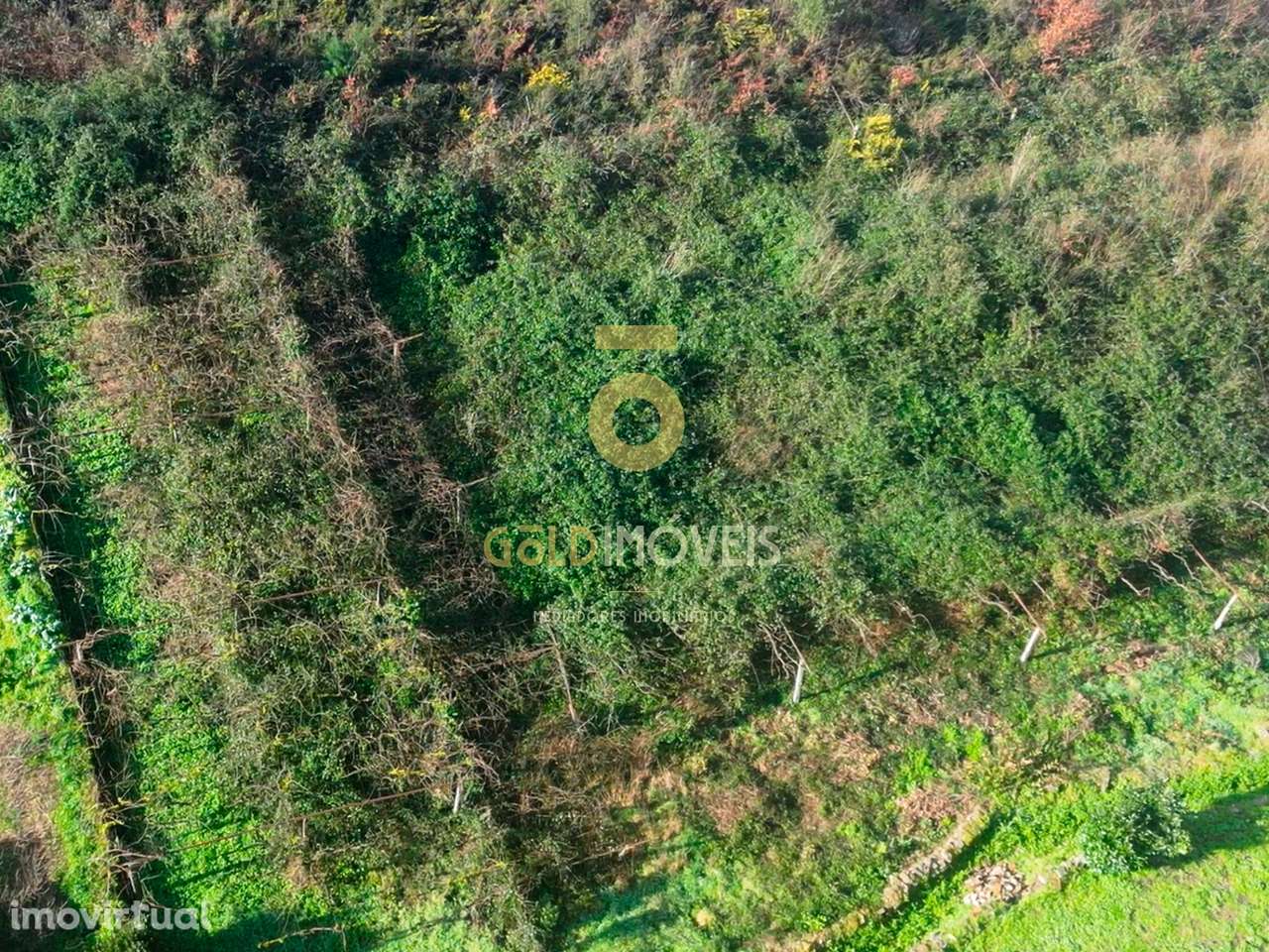 Terreno Rústico  Venda em Gandra,Paredes - Grande imagem: 3/5