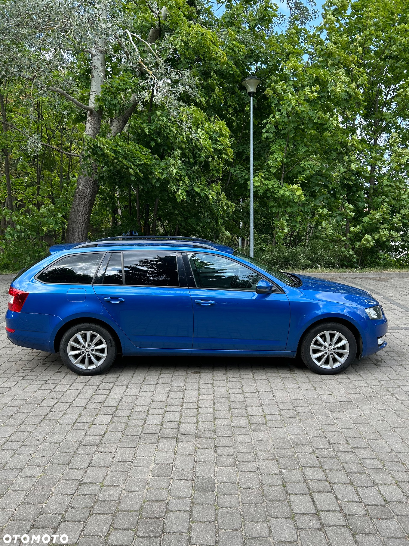 Skoda Octavia Combi 1.6 TDI (Green tec) DSG Ambition - 7