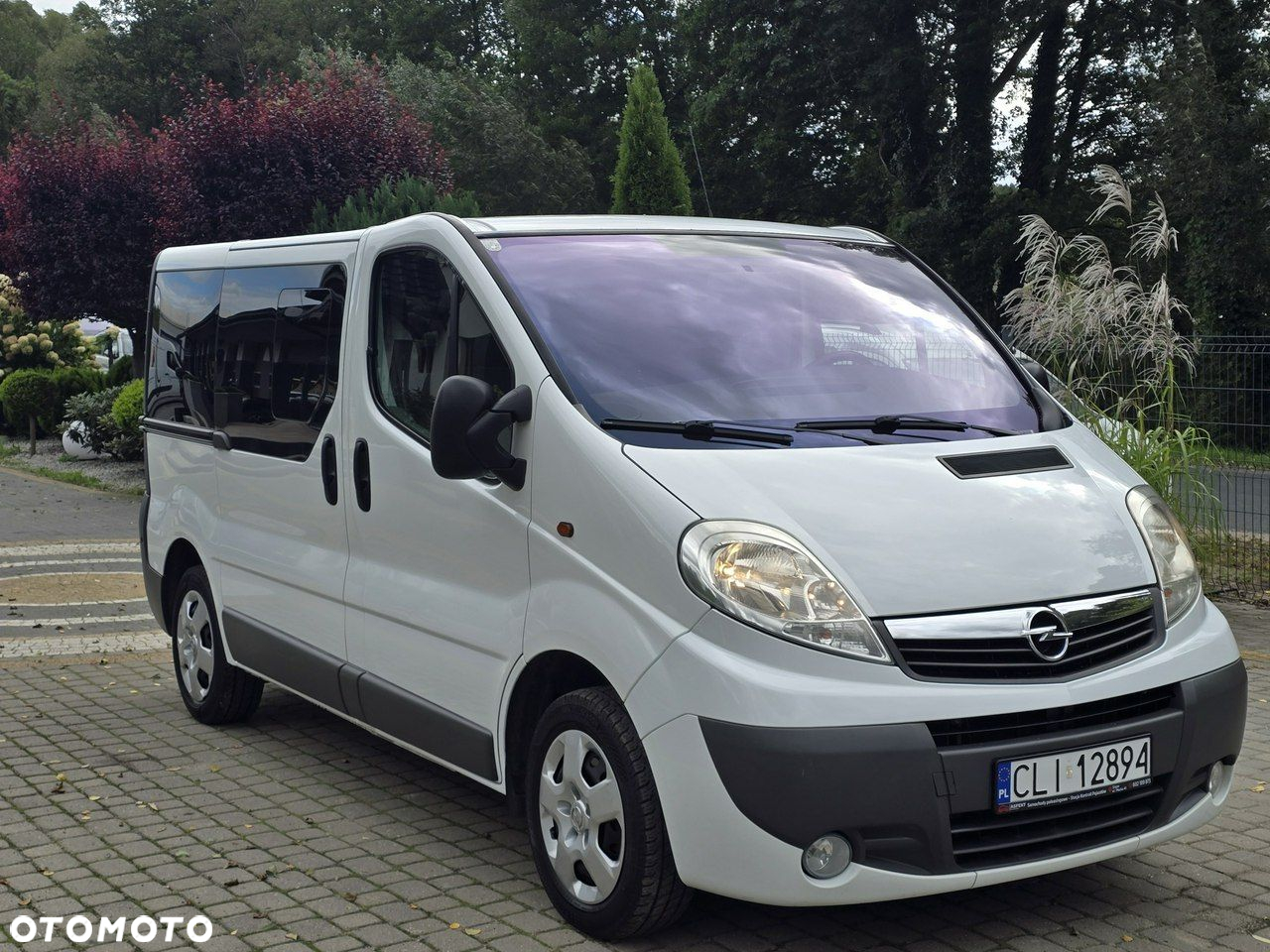 Opel Vivaro - 2