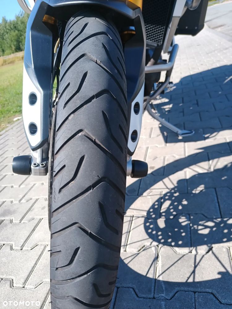 Triumph Tiger - 14