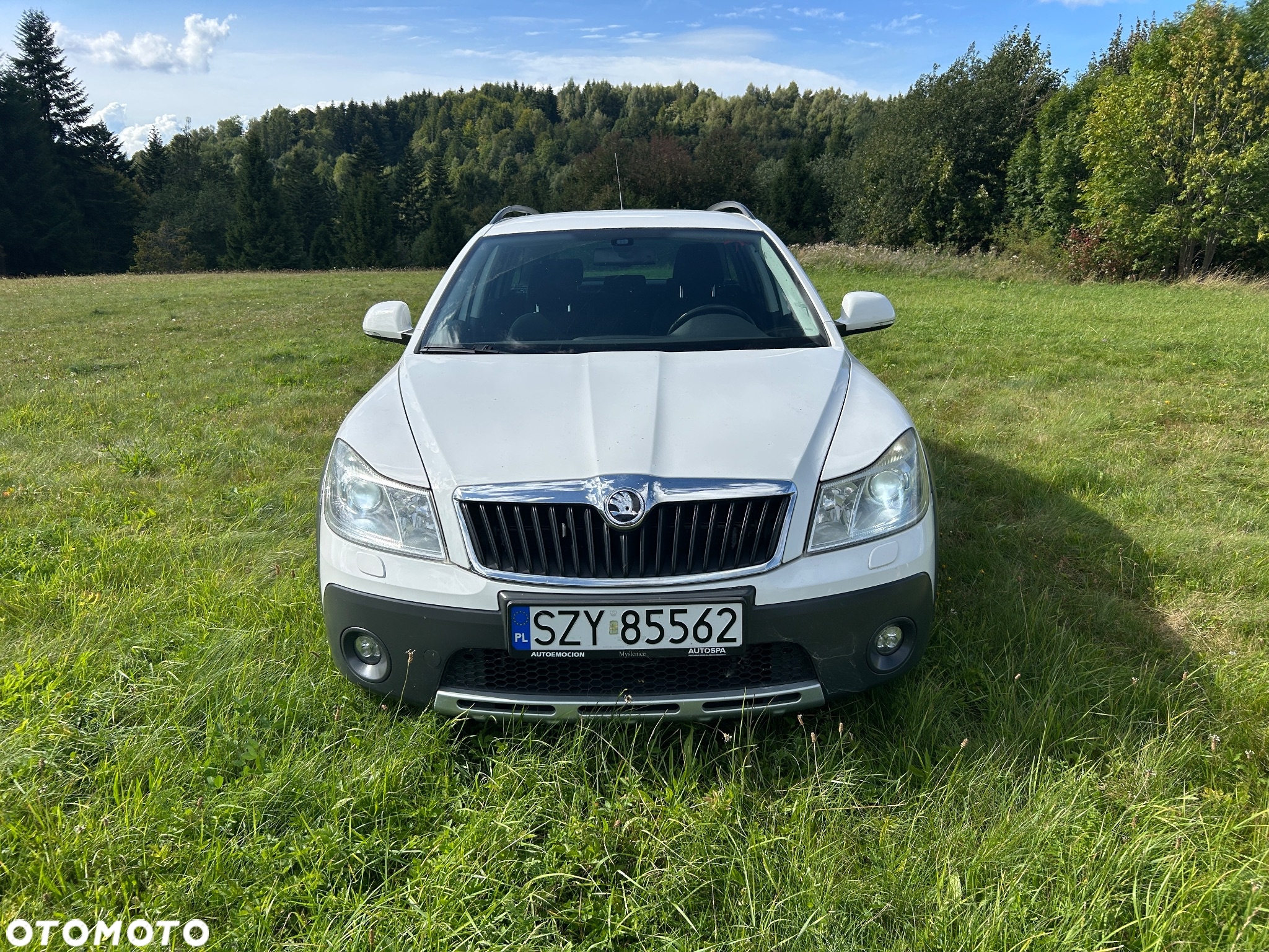 Skoda Octavia Scout 2.0 TDI DPF - 7