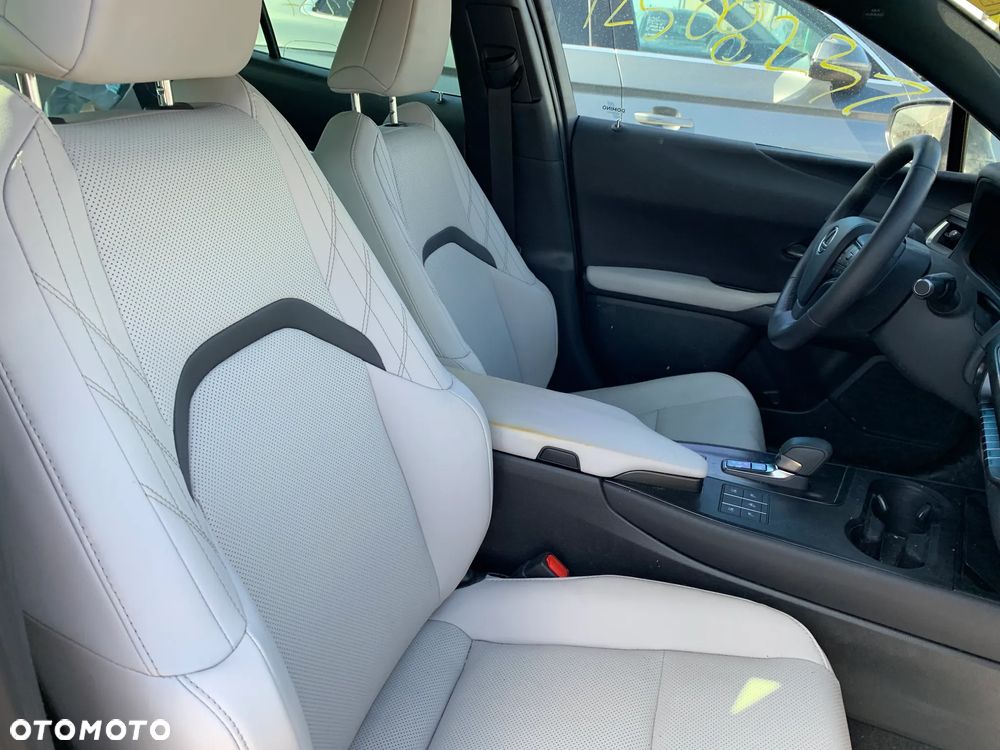 Lexus UX 300h F Sport AWD - 13