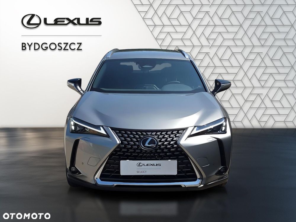 Lexus UX 300h Business - 2