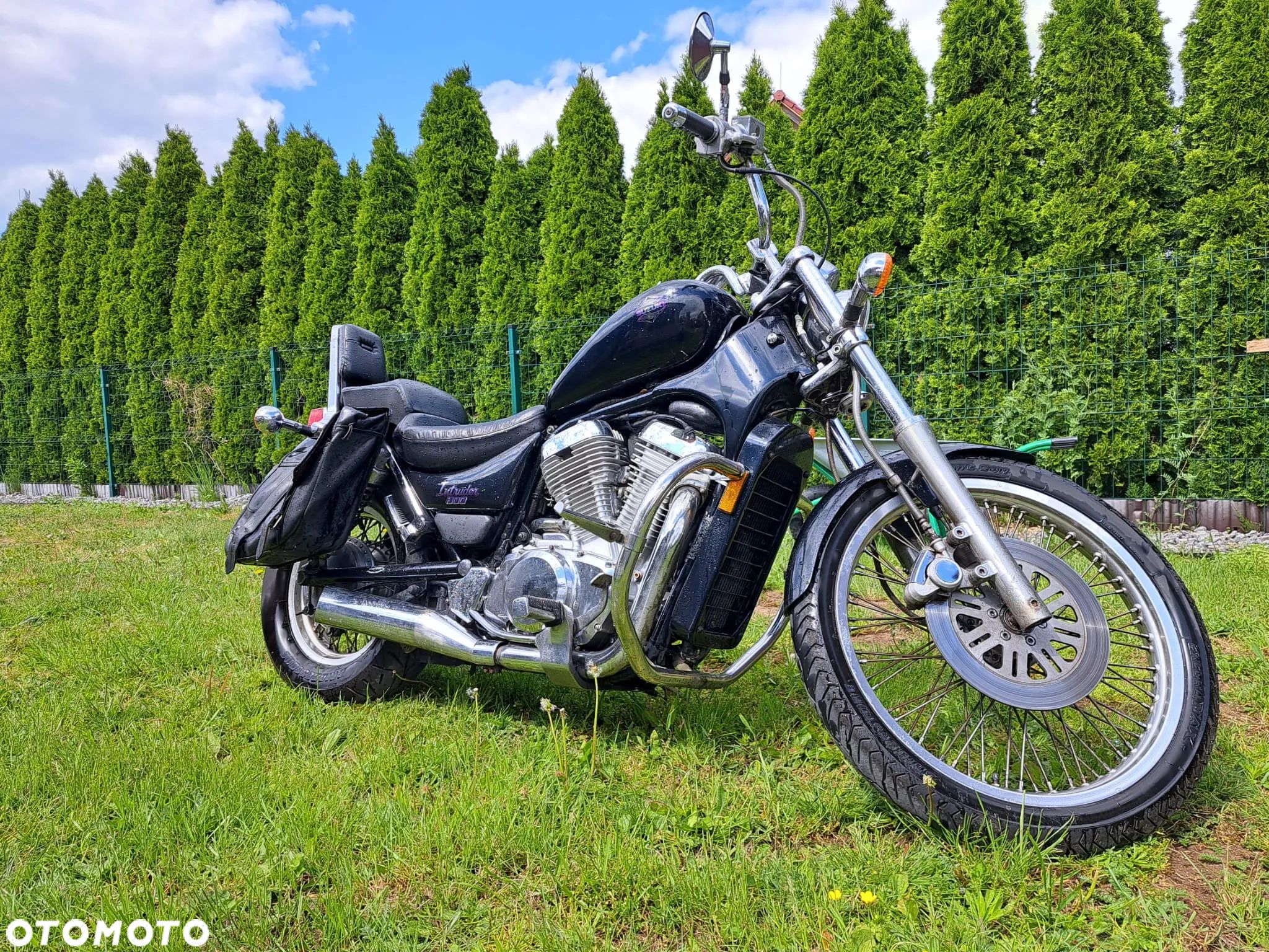Suzuki Intruder - 1