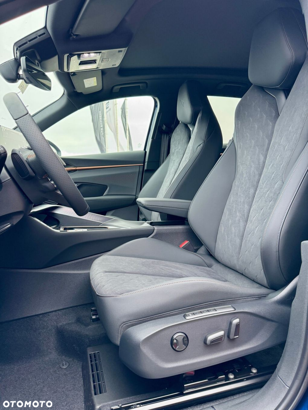 Cupra Terramar 2.0 TSI 4Drive DSG - 19