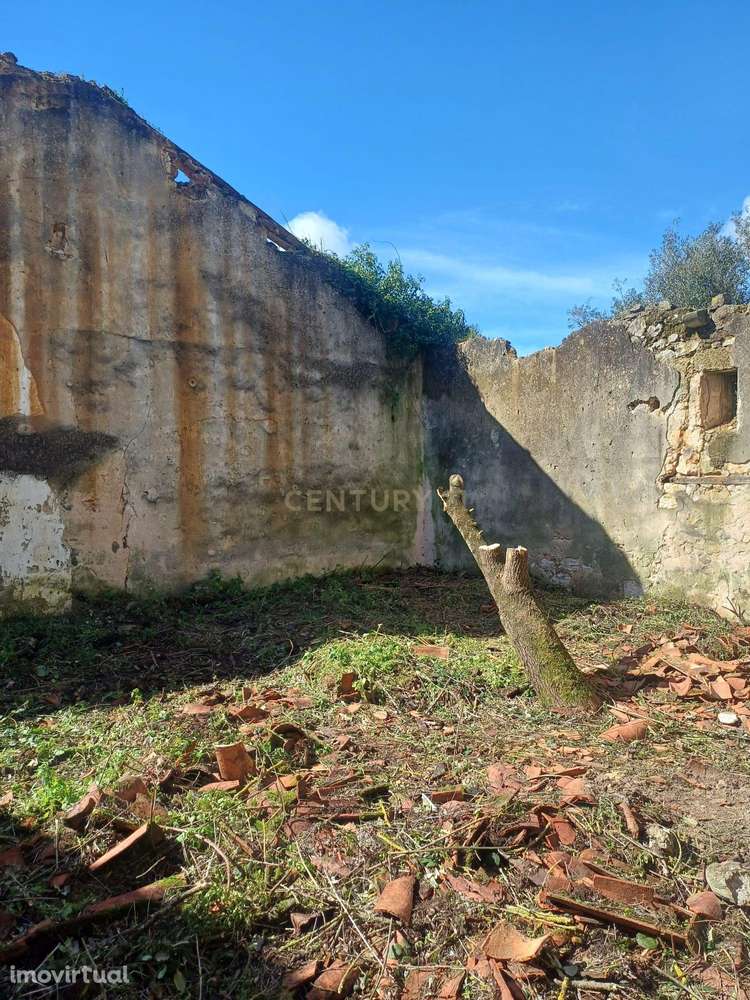 Arrecadação em terreno urbano em Almoster - Grande imagem: 4/6