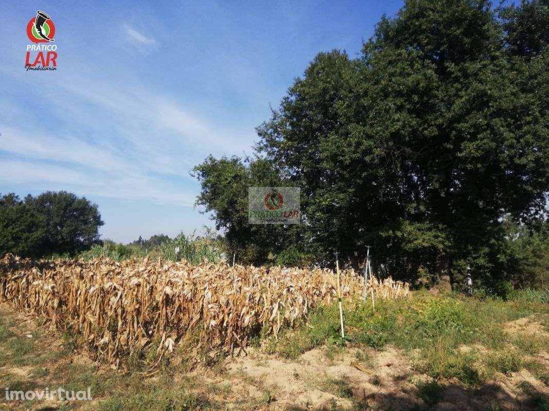 Lotes de terreno  no castelo na Palhaça - Grande imagem: 5/17