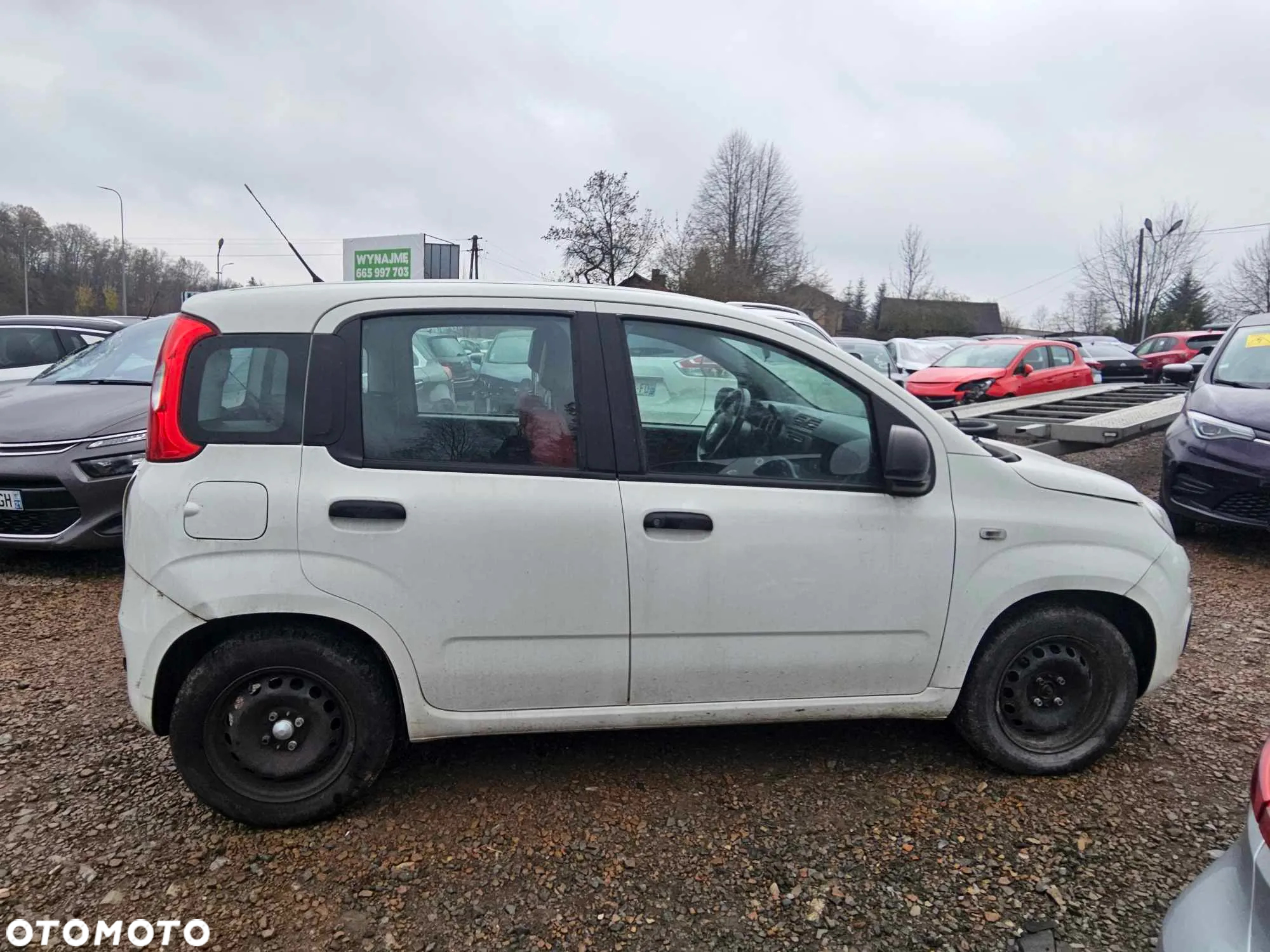 Fiat Panda 1.2 City Cross - 2