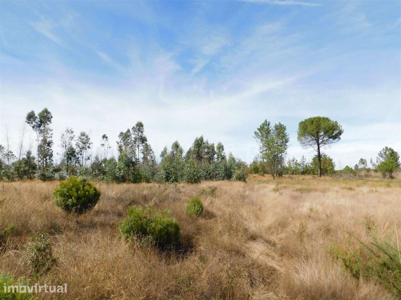 Terreno / Seia, Tourais - Grande imagem: 4/8