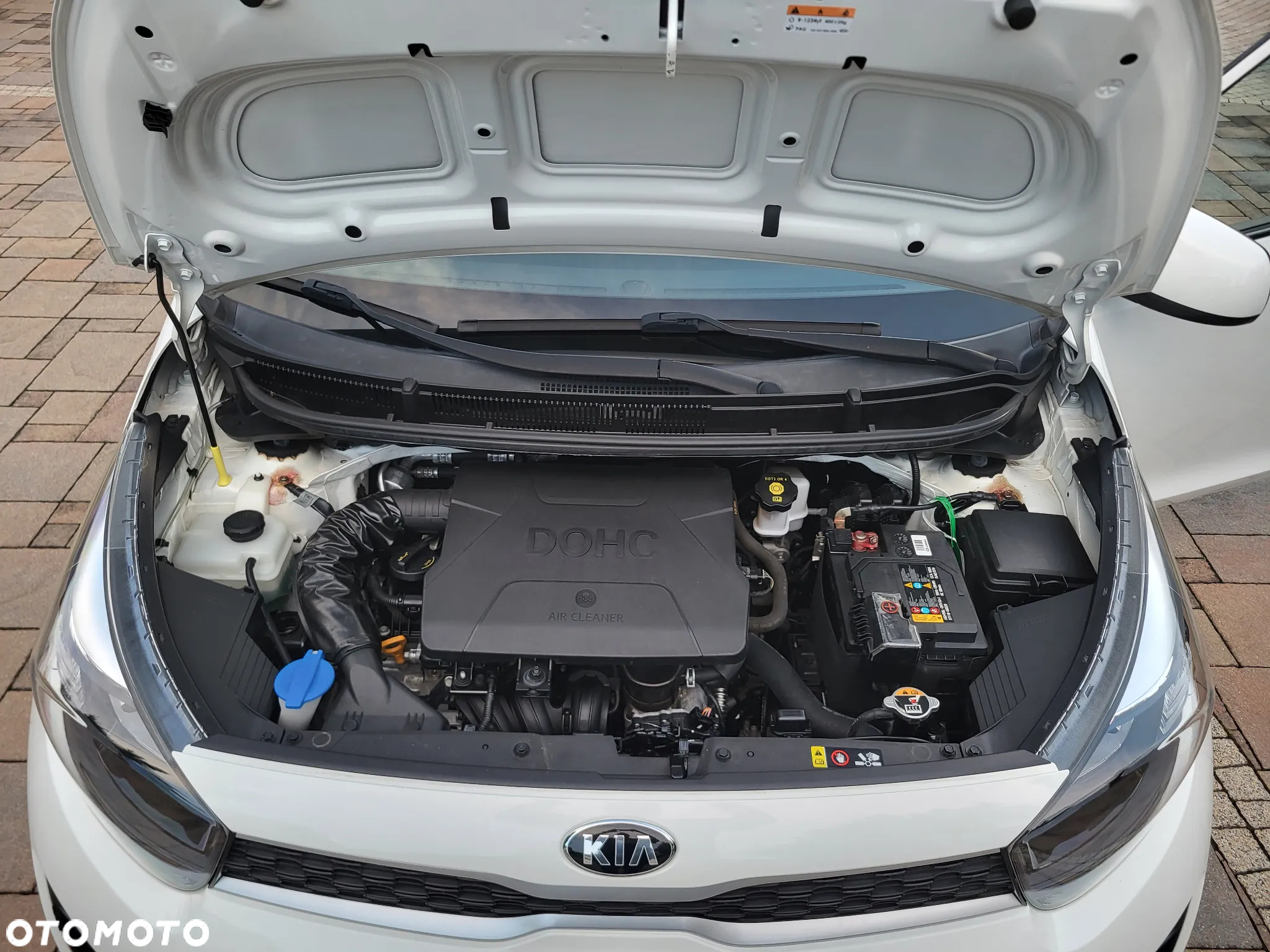 Kia Picanto 1.0 Dream-Team Edition - 21