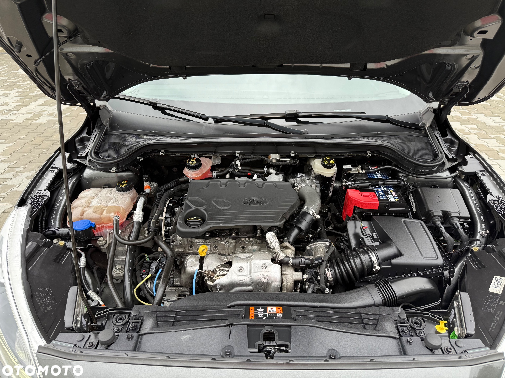 Ford Focus 1.5 EcoBlue Start-Stopp-System TITANIUM X - 38