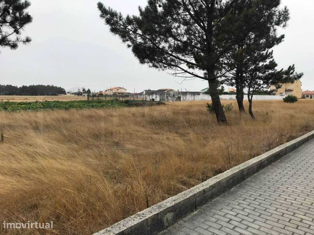 Terreno para moradia - Gafanha do Carmo - Grande imagem: 2/21