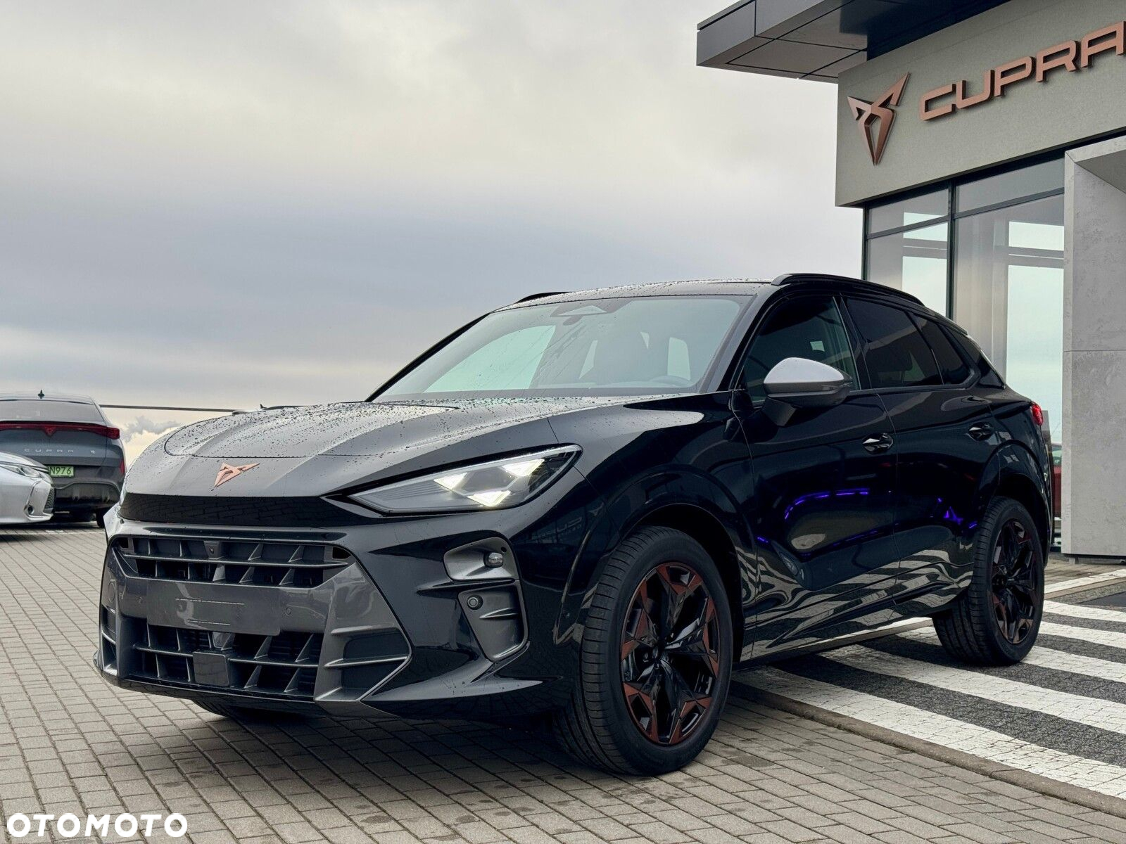 Cupra Terramar 2.0 TSI 4Drive DSG - 4