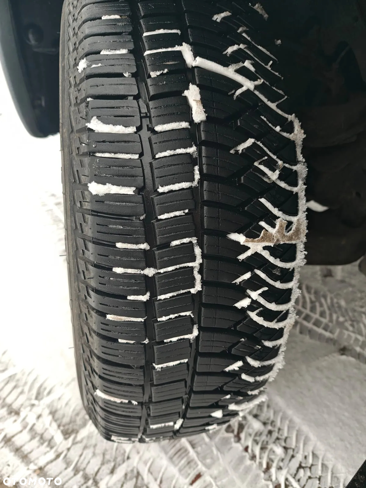 Hyundai Terracan - 25