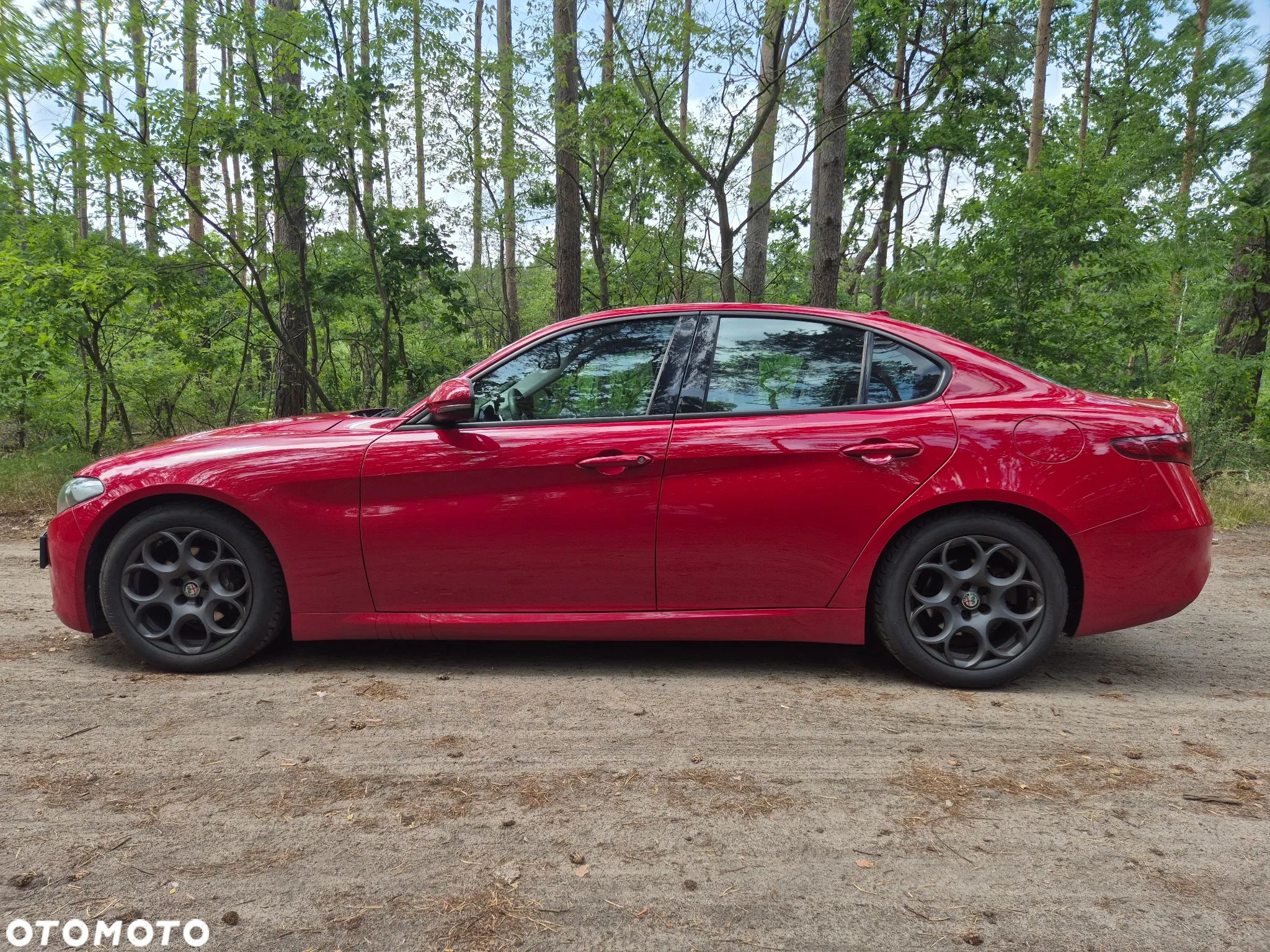 Alfa Romeo Giulia 2.0 Turbo - 1