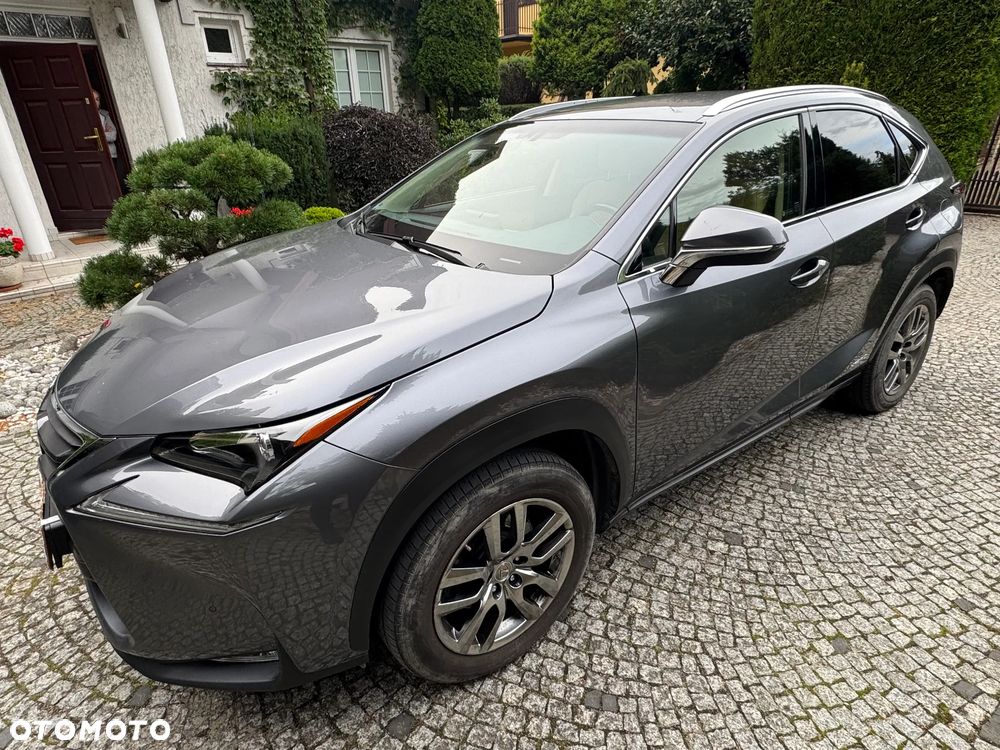 Lexus NX 300h Comfort AWD - 2