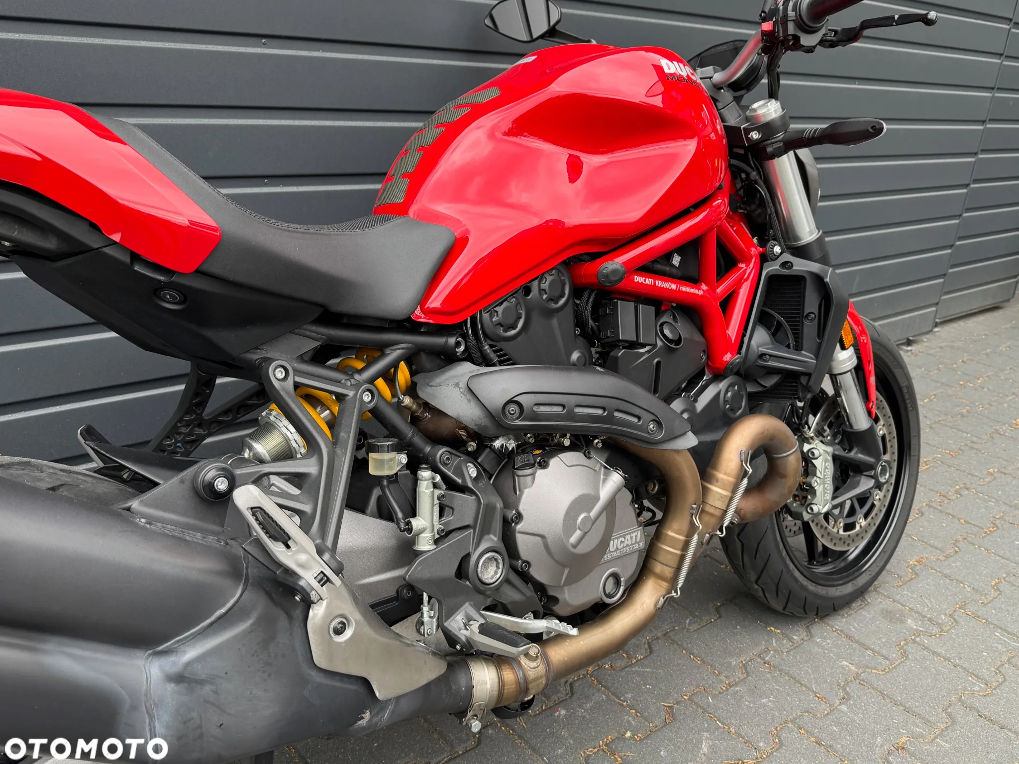 Ducati Monster - 5