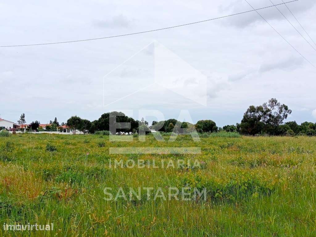 Magnífico terreno com 12.640 m2 - Grande imagem: 3/16