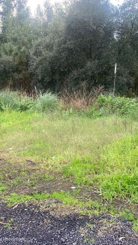 Terreno  para venda - Grande imagem: 5/10