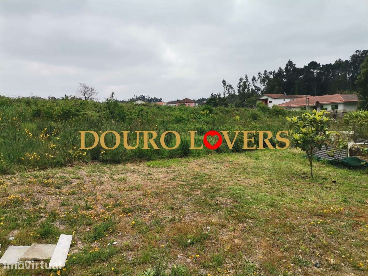 Terreno Urbano de duas frentes | Sanguedo | Santa Maria da Feira - Grande imagem: 3/7