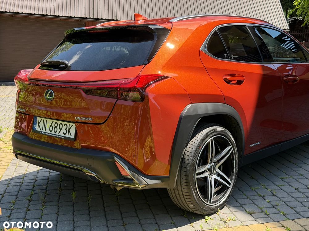 Lexus UX 250h GPF F Sport AWD - 13