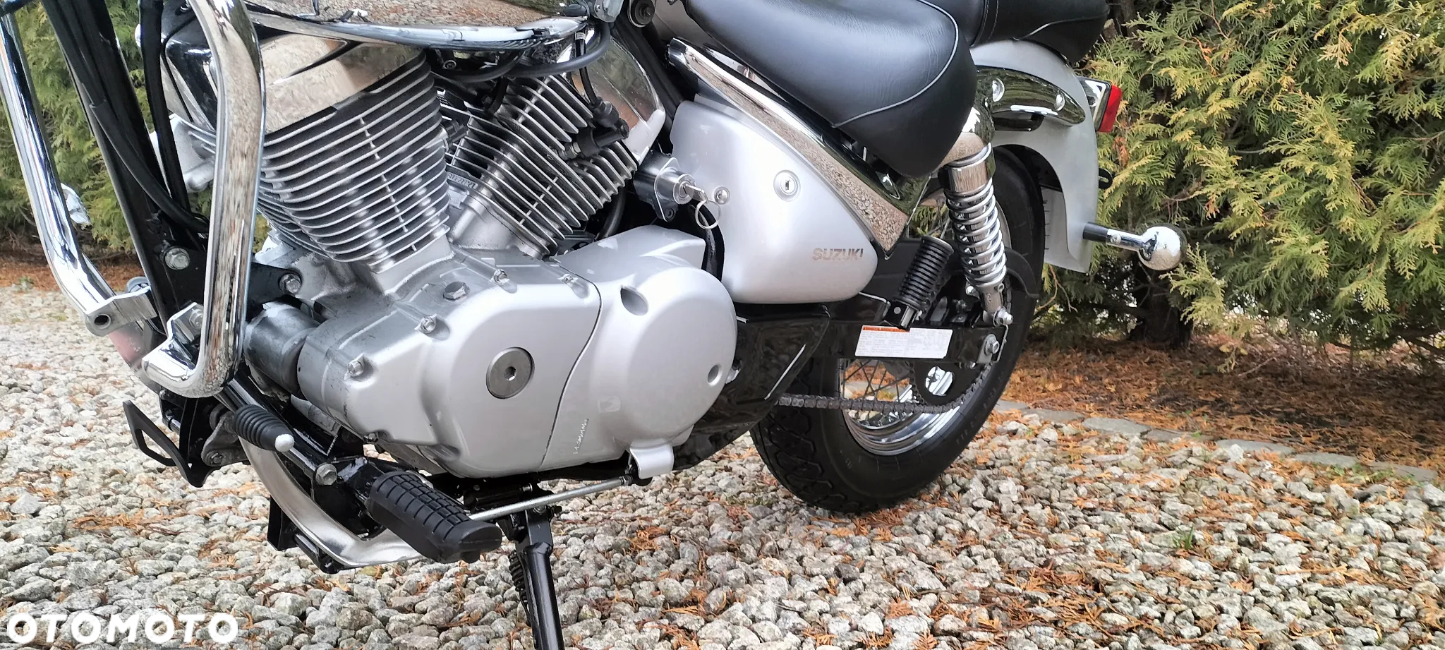 Suzuki Intruder - 9