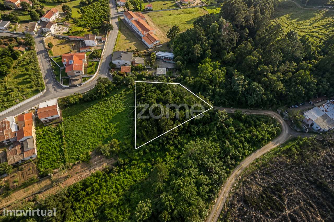 Terreno 1.412 m² | Construção, Habitação ou Indústria | Angeja - Grande imagem: 4/15