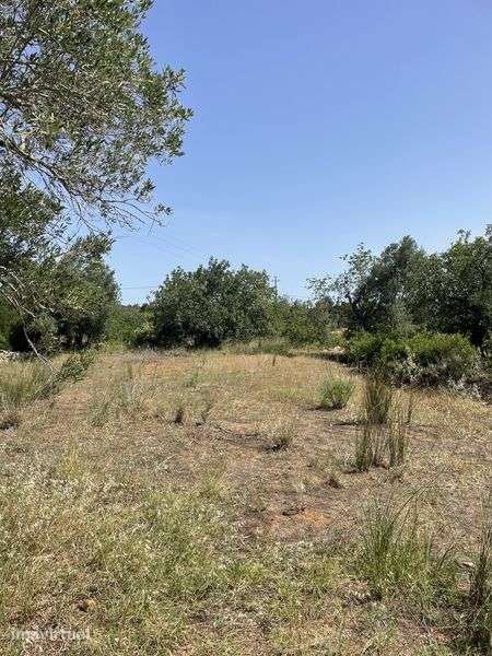 Oportunidade Única em Estoi — Terreno Rústico com 3.000 m² - Grande imagem: 5/12