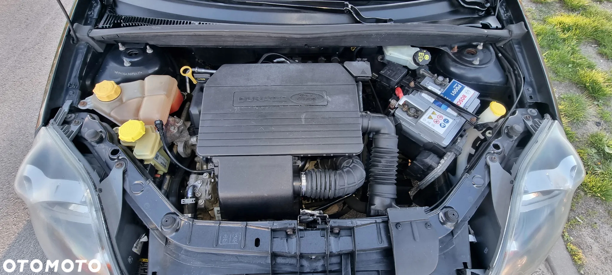 Ford Fiesta - 14