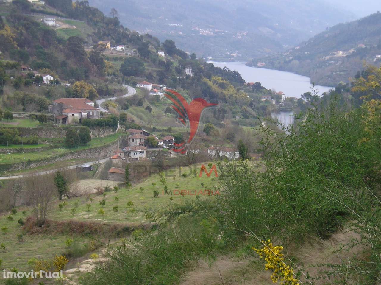 Quinta com excelentes vista sobreo rio Douro  75 Km do Porto - Grande imagem: 2/33