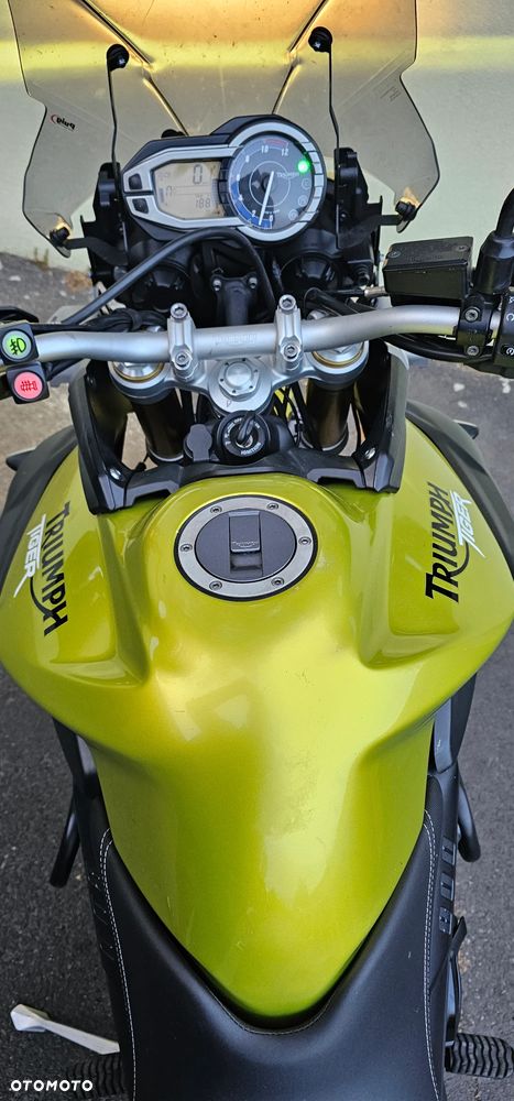 Triumph Tiger - 15