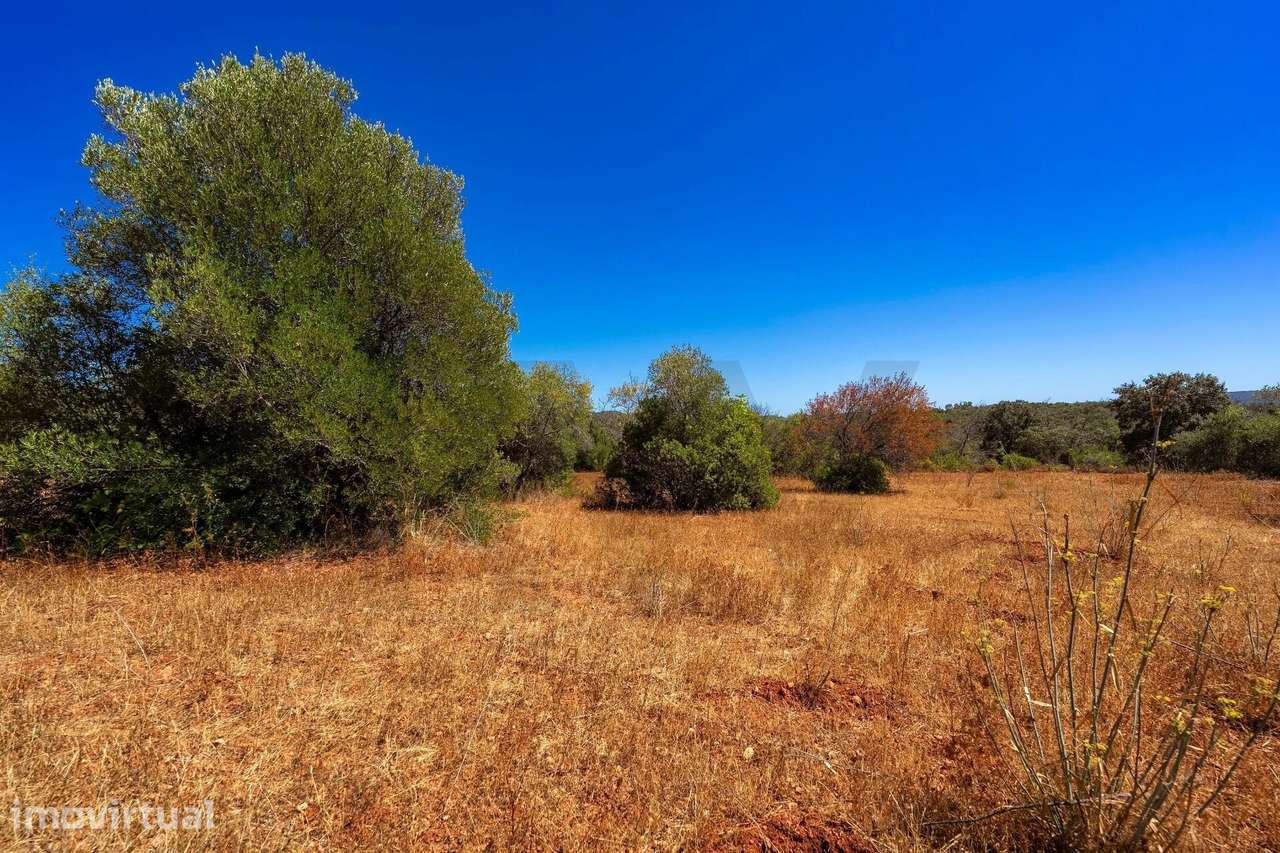 Ruína em malha URBANA, Corçitos, Querença, Loulé - Grande imagem: 5/38