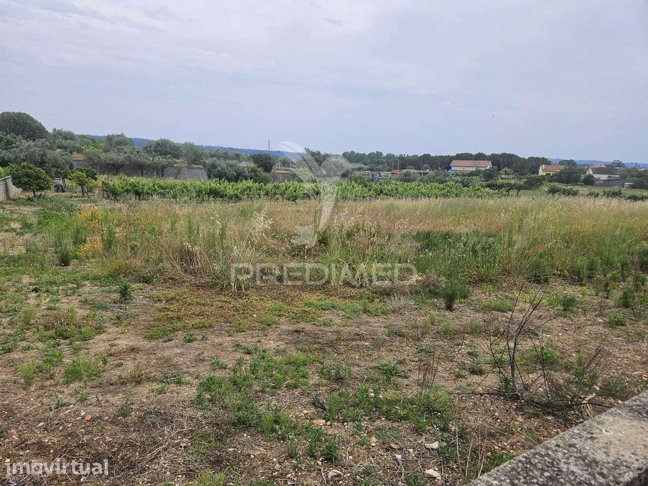 Terreno na entrada de Tomar com parcela urbana 1200 m² - View 6