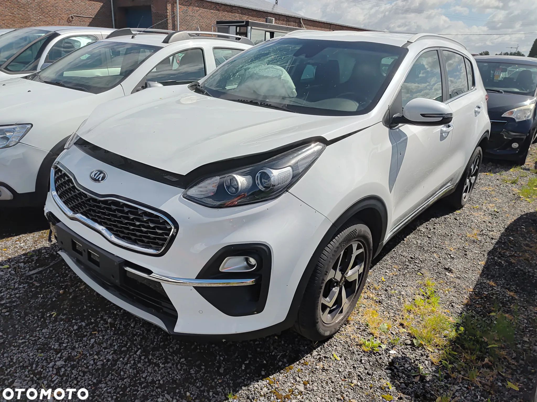 Kia Sportage 1.6 CRDI L Business Line 2WD DCT - 1