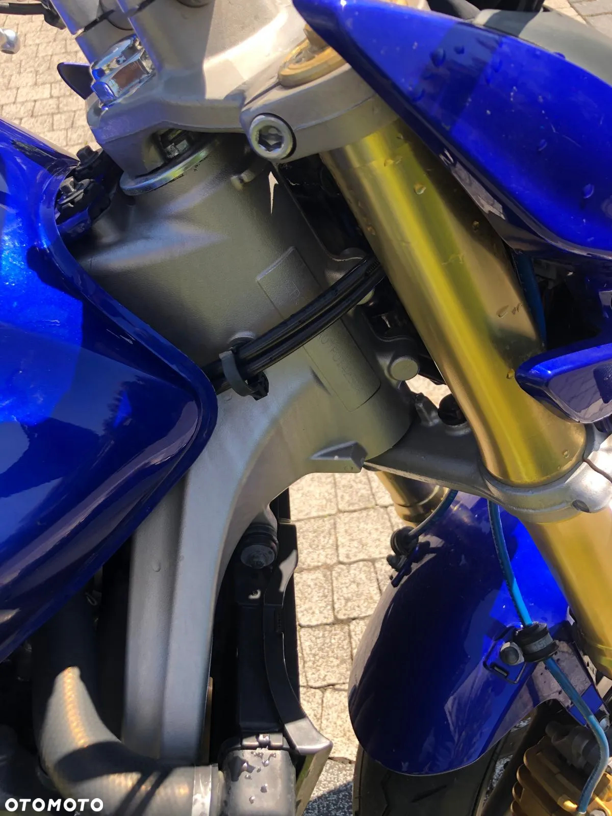 Honda Hornet - 4