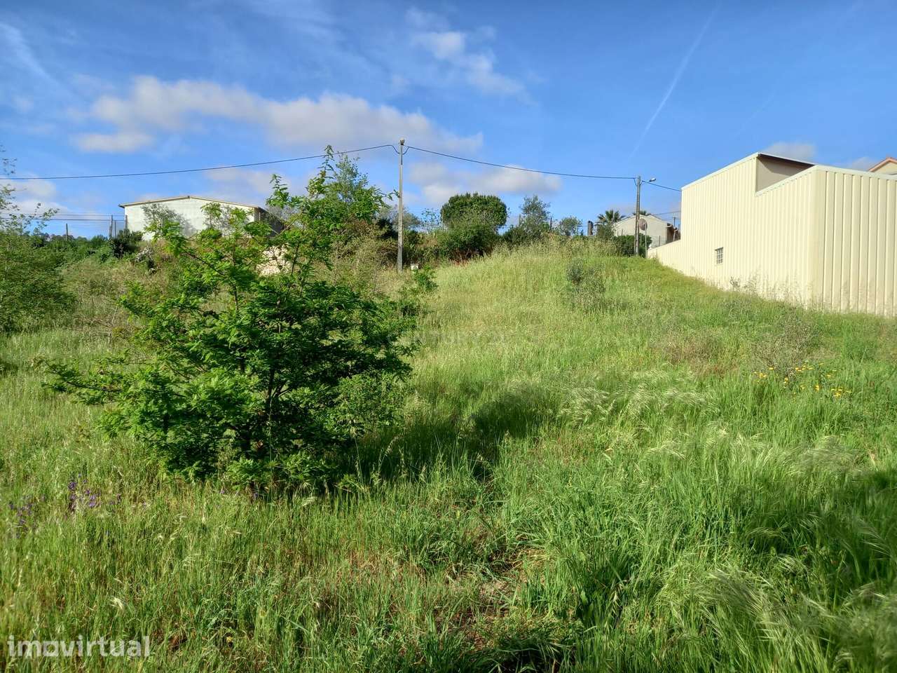 Terreno com 800 m2 em Barbas Novas - Grande imagem: 3/15